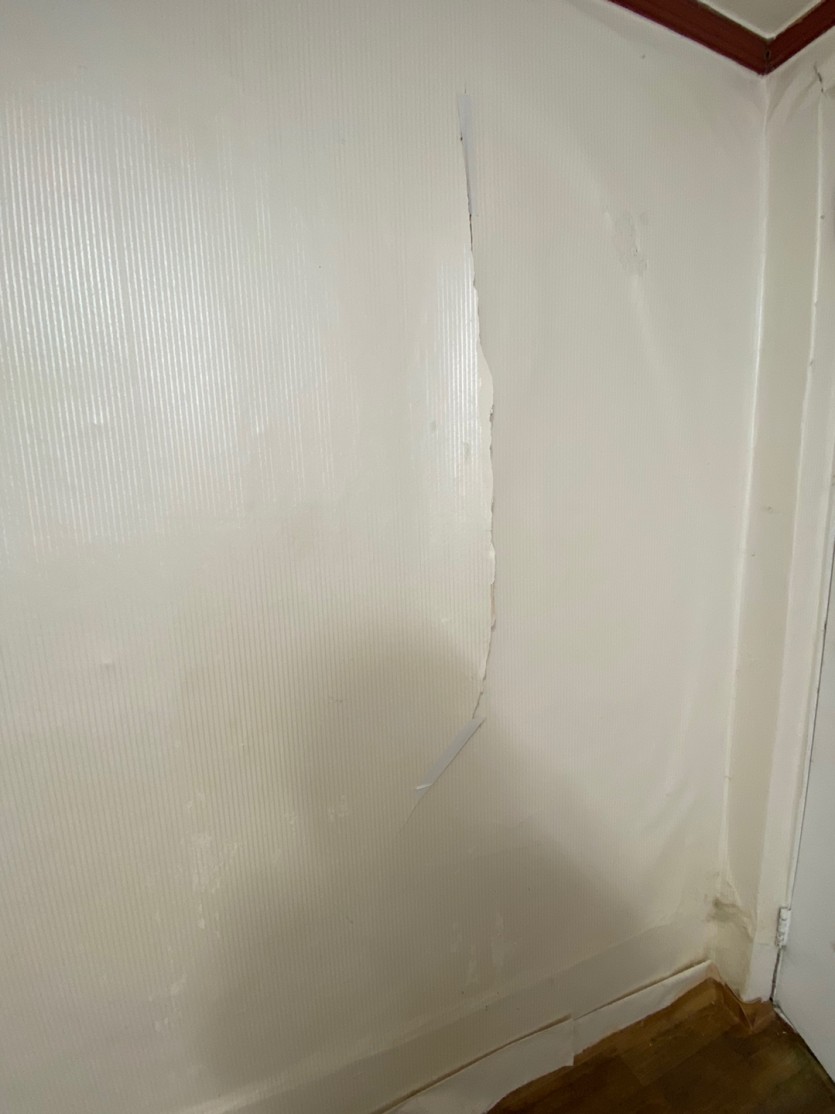 965cf645004208cf3cfc47af3247d5ff_1617266811_5916.jpg
